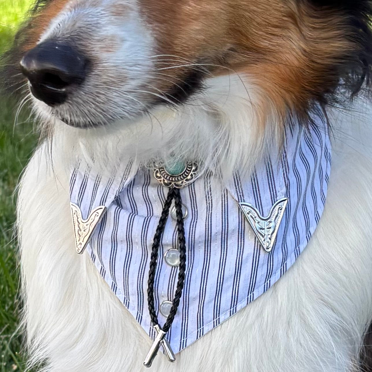 Pearl Snap - Vintage Metallic Stripe (Pre-Order)